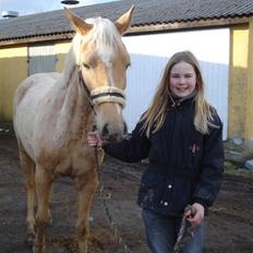 DSP Fredens banditta