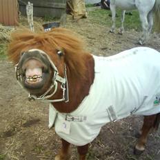 Anden særlig race nuller 