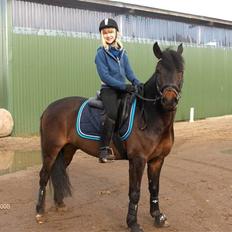 Anden særlig race Aladdin<3 (Solgt)