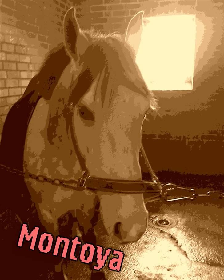 DSP Montoya (Solgt) billede 11