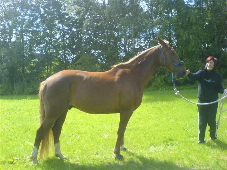 Traver Aka Lendalund billede 1