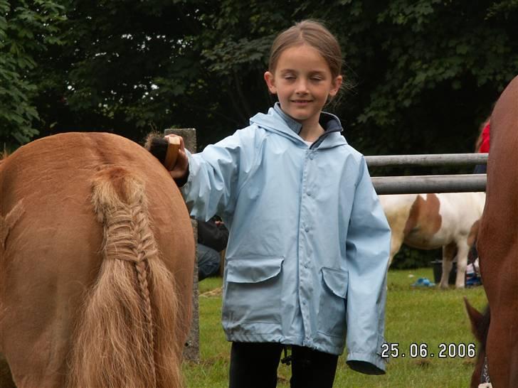 Shetlænder Laban¤solgt¤ - go røv hihi:) billede 2