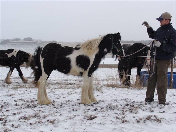 Tinker Gangster - Henning holder Gangster billede 2