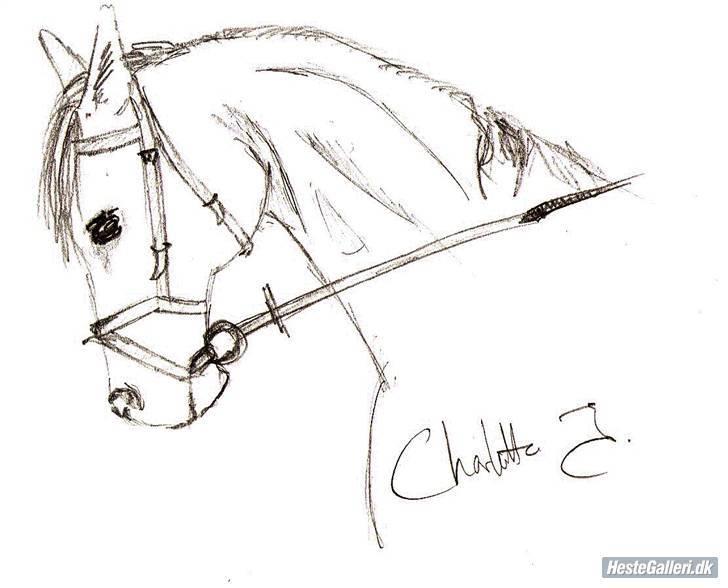 Anden særlig race Cindy R.I.P - Et billede Charlotte har tegnet af cind!! kan i se at det er hende?? billede 10