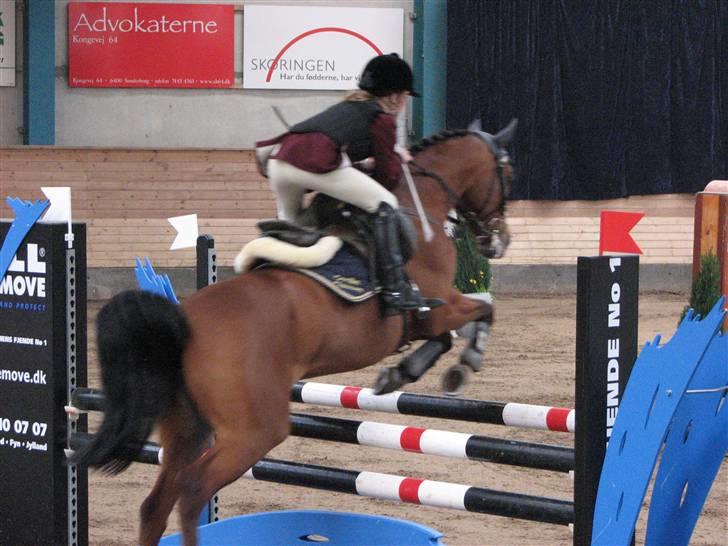 Anden særlig race Cindy R.I.P - Cindy og jeg i MA i SØR (landsstævne) billede 11