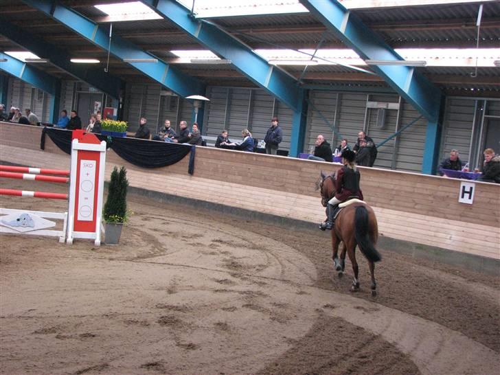 Anden særlig race Cindy R.I.P - Lige redet på Banen i MA SØR (landsstævne) billede 12