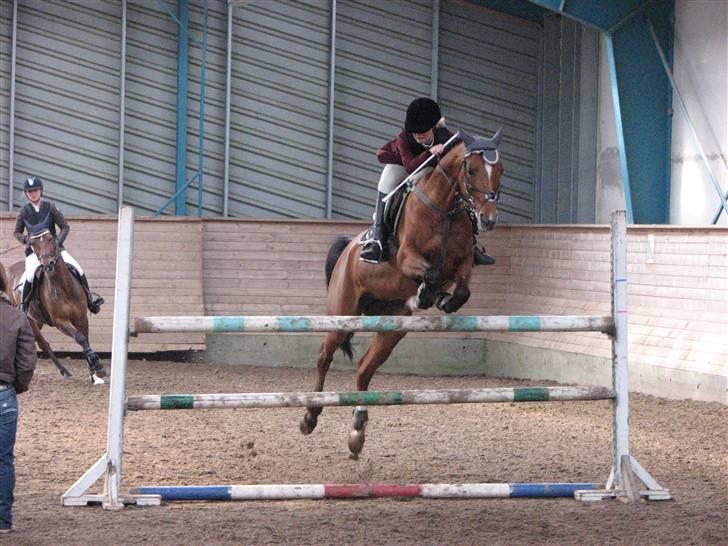 Anden særlig race Cindy R.I.P - Opvarming til MB SØR (landsstævne) billede 13