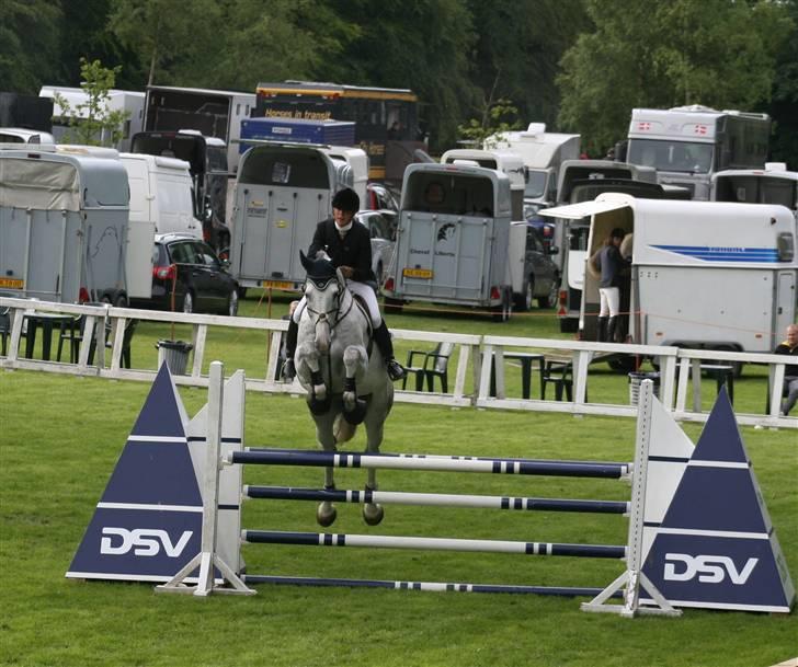 Holstener Krudtuglen's Challenger - Prinse-mansen.. til C-stævne i Bernstoffsparken i LB :D billede 1