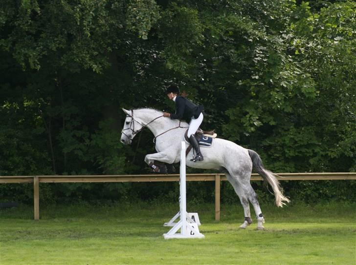 Holstener Krudtuglen's Challenger - LB i Bernstoffsparken billede 2