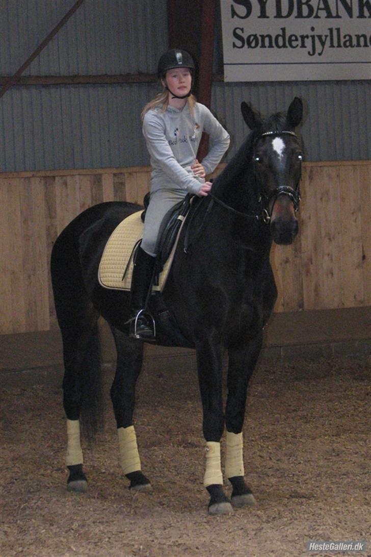 Anden særlig race Chiffon la bevuée - Min lille Baby i stilstand. <´3 (taget af lenaelsborg.dk) billede 3