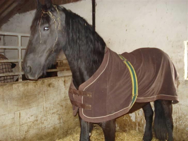 Frieser Dora K billede 9