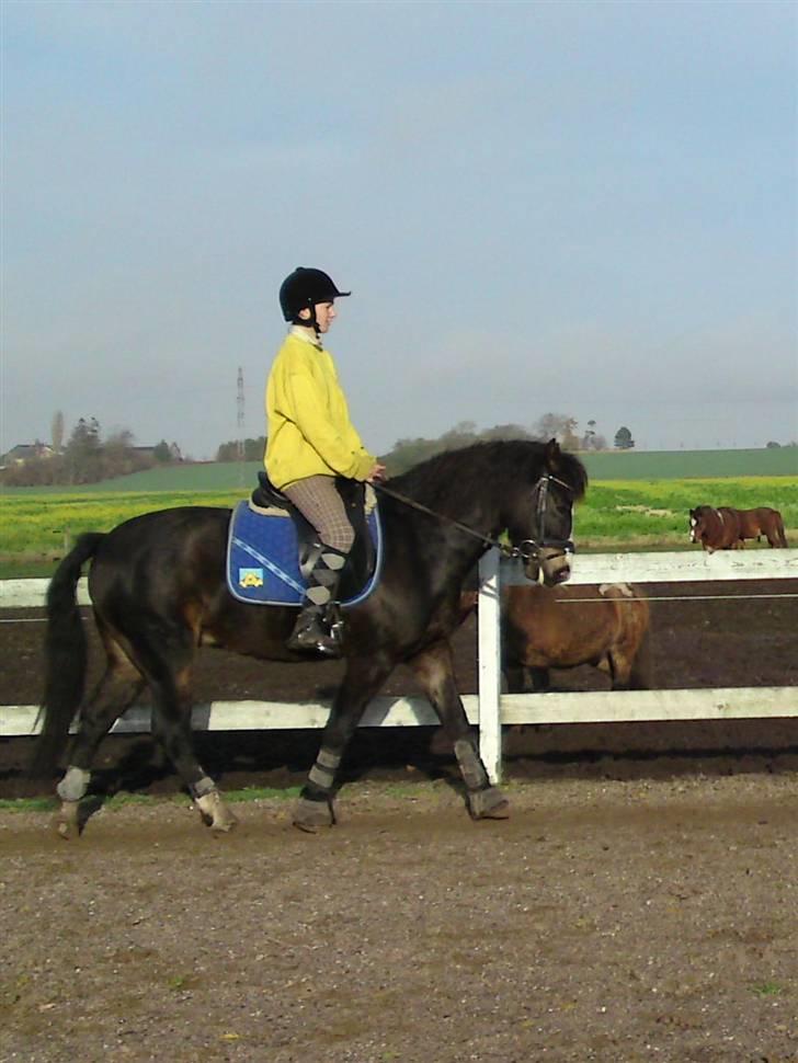 Anden særlig race Oliver *SOLGT* - Se hvor fint jeg kan gå med Katrine på ryggen :D billede 14