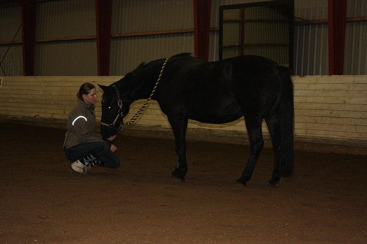 Anden særlig race Esmeralda <3 †18/11-10† - Velkommen her til Esmeraldas profil :')
Håber du nyder billederne af hende :) billede 1
