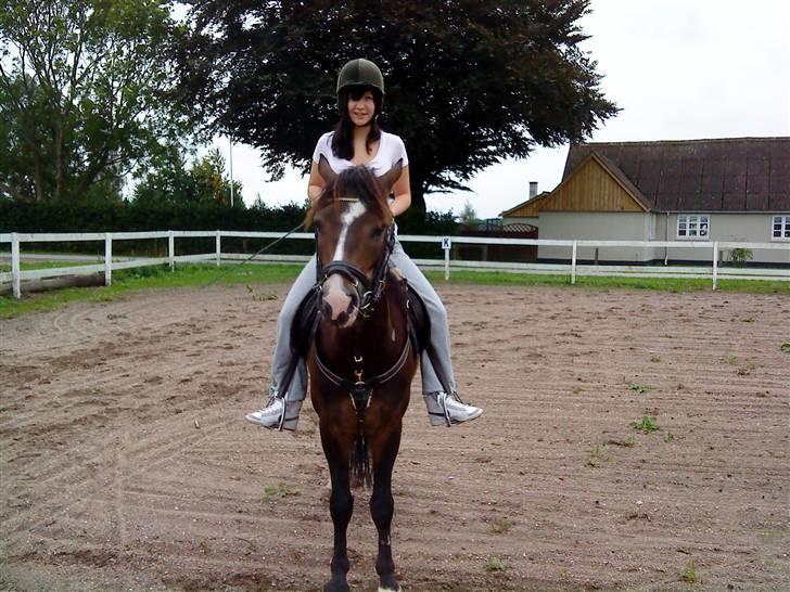 Anden særlig race Oliver *SOLGT* - Oliver og Camilla. længe siden Camilla har redet sidst:D billede 17