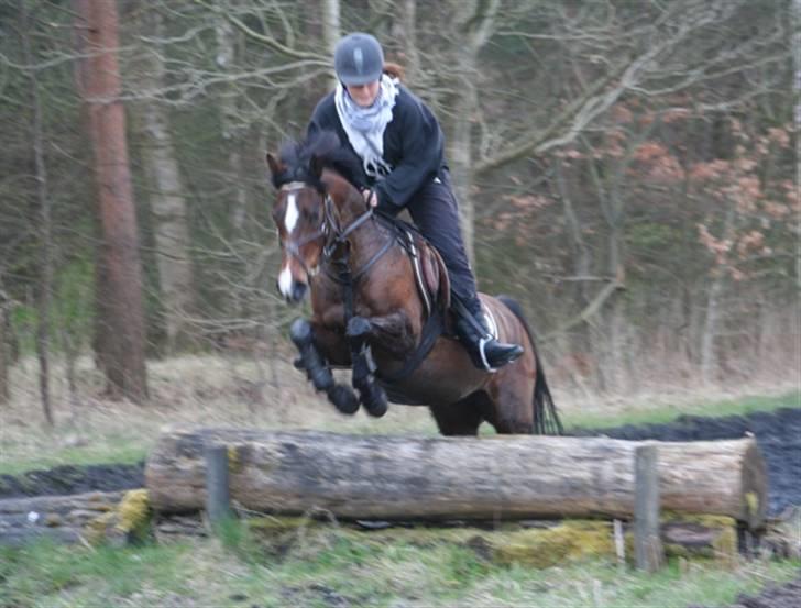 Hollandsk Sportspony Domenique<3 B-pony Soulmate - d 2/4!<3 Jeg elsker dig, den sidste tur med Emmie :( billede 19