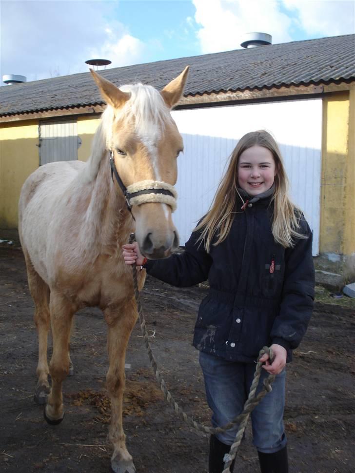 DSP Fredens banditta - mie elsker sin banditta billede 3