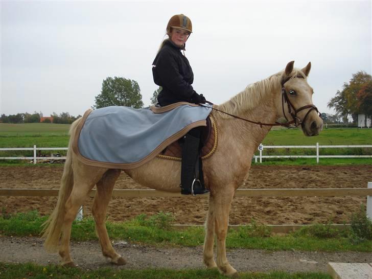 DSP Fredens banditta - lige efter undervisning d. 11.10.2008.  det går super godt. billede 4