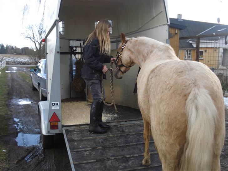 DSP Fredens banditta - kom nu Banditta, der går hele ikke 2 min så er hun oppe i traileren. billede 5