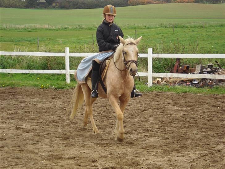 DSP Fredens banditta - Banditta og mie d.11 oktober 2008 billede 7