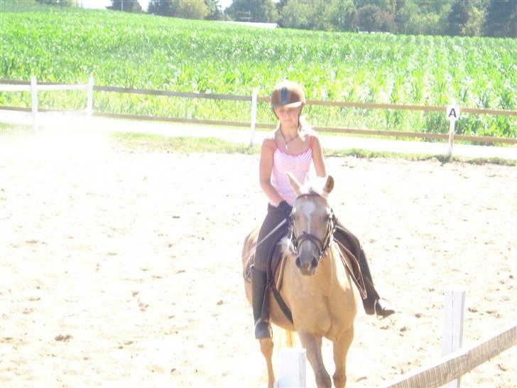 DSP Fredens banditta - nyt undervisning her hjemme aug 2008 billede 9