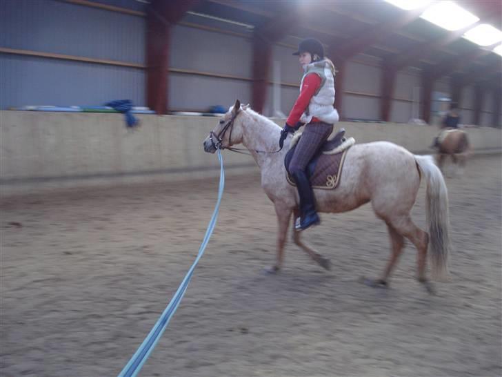 DSP Fredens banditta - Nadia er pigen, der hjælper os med at ride hende til, hun er super dygtig billede 10