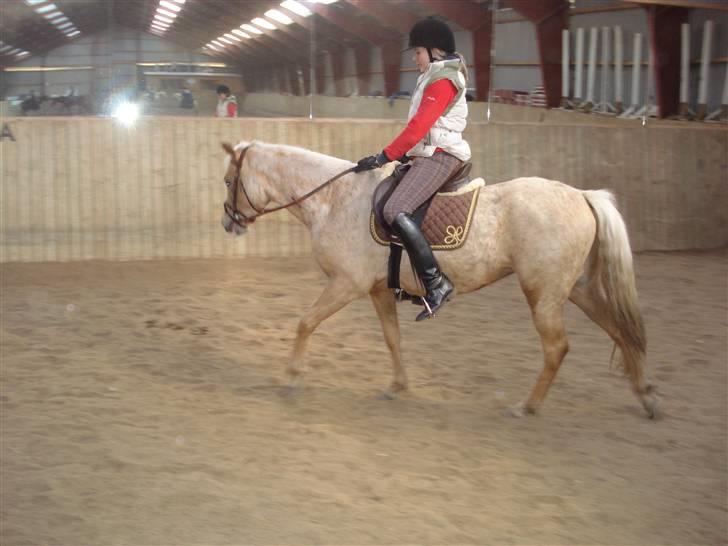 DSP Fredens banditta - Hun er ikke i longe mere billede 11