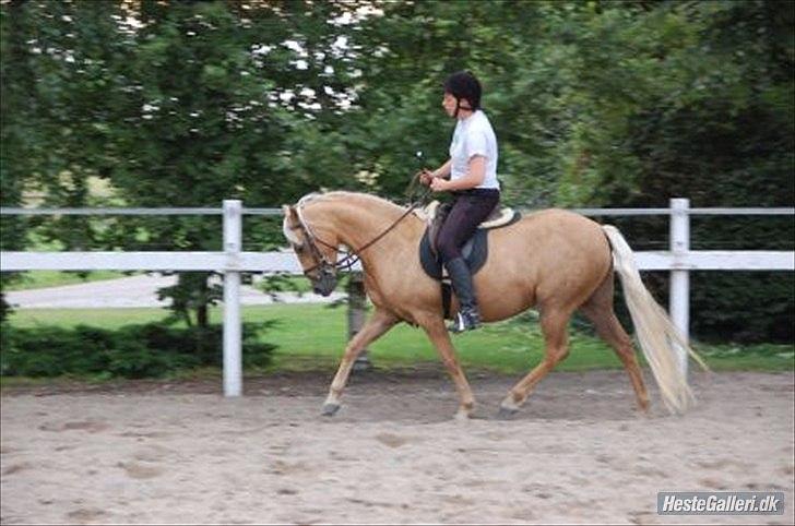 DSP Fredens banditta - sommer 2010 billede 12