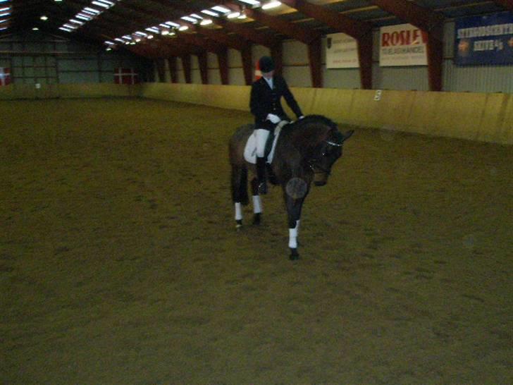 Dansk Varmblod HeinsgaardensCarl*R.I.P*  - stævne i Skive [:  billede 5