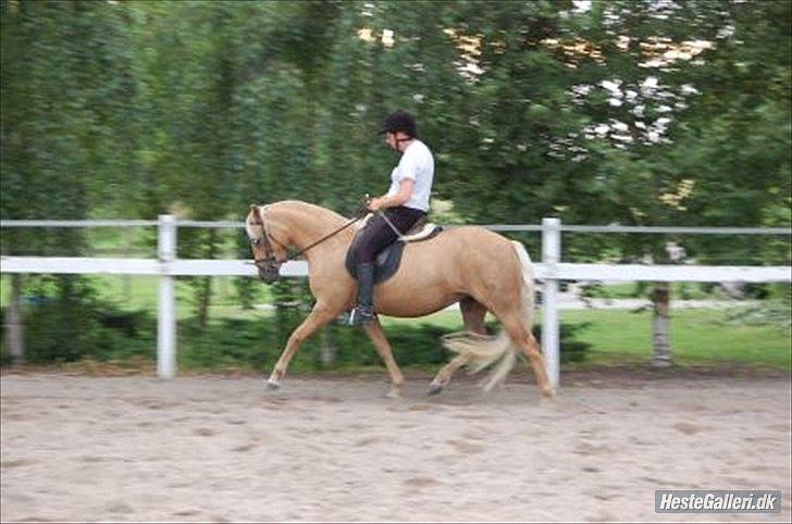 DSP Fredens banditta - sommer 2010 billede 15