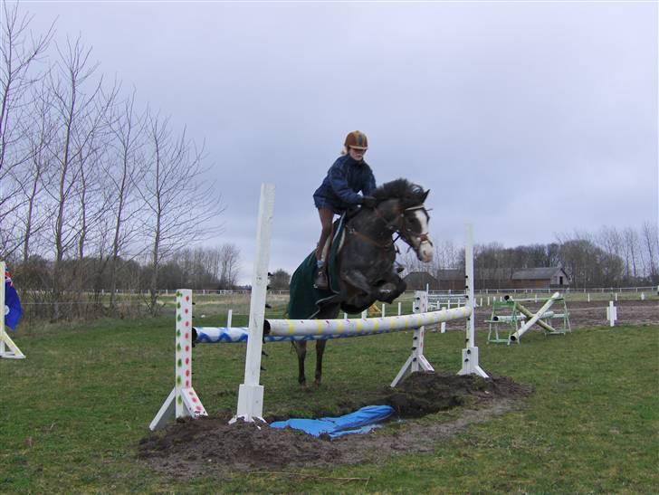 Anden særlig race Sprite † billede 17