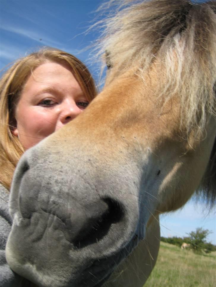 Fjordhest Pøs. - Smukke pøs (;<3 billede 8