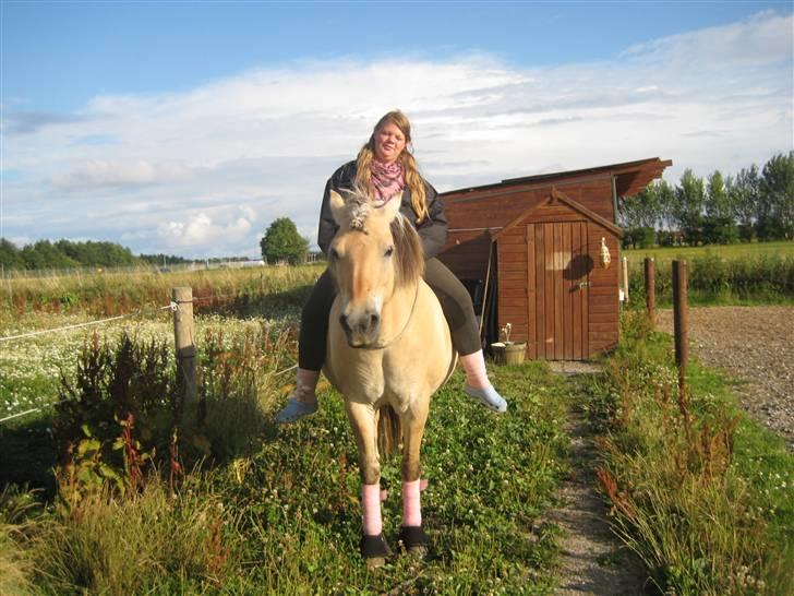 Fjordhest Pøs. - ridning uden udstyr :D. billede 10