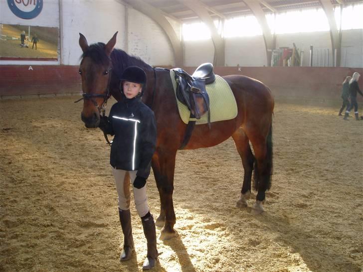 Anden særlig race Tøsen {Elev hest}(Simone) - lige da vi var blevet færdige med at springe billede 15