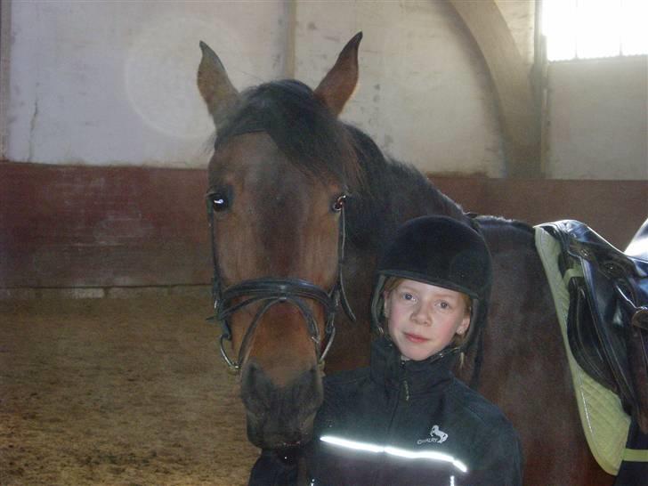 Anden særlig race Tøsen {Elev hest}(Simone) - ik tag jer af mig ser lidt underlig ud på det billede  billede 16