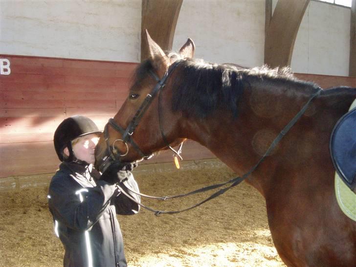 Anden særlig race Tøsen {Elev hest}(Simone) - smæk kys <´3 billede 19