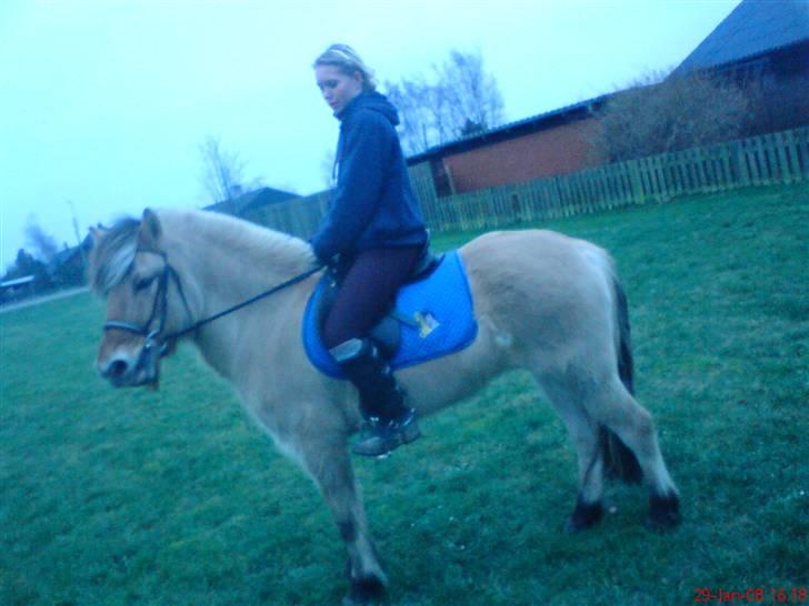 Anden særlig race Perle - Vi er som skabt for hinanden. billede 18