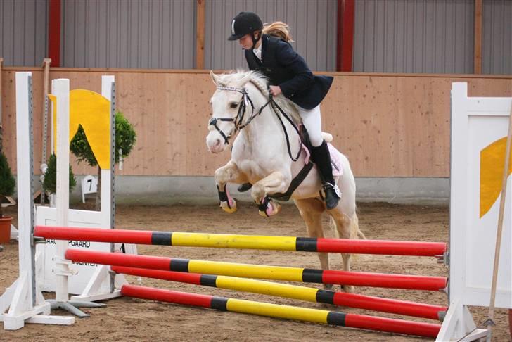 Welsh Pony (sec B) Rosengårdens Nakuma*solgt - Mig&Nakuma til stæne i aags:) Foto: Kaytrin foto billede 16