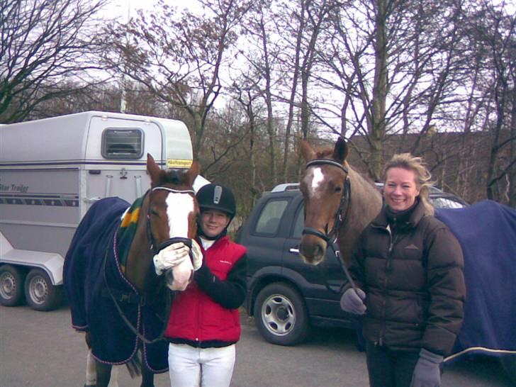 Anden særlig race Rocky - B-pony SOLGT - Jeg, Rocky, min søster Silkes pony Eros og mor :)  billede 8