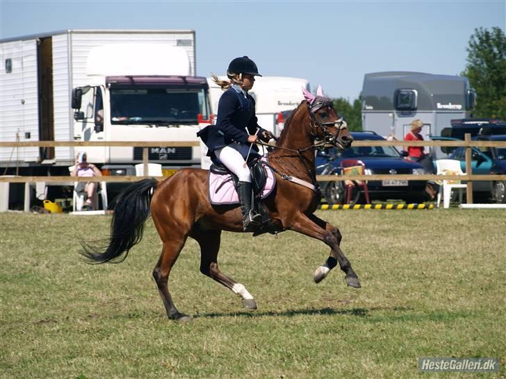 Tysk Sportspony P-tim | B-pony | SOLGT! - 6) stævne i kellerup rideklub MB 4.plads billede 6