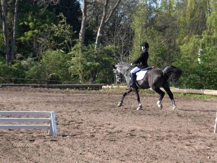 Anden særlig race Blackie - Solgt :( - Det gik super godt den dag =) billede 3