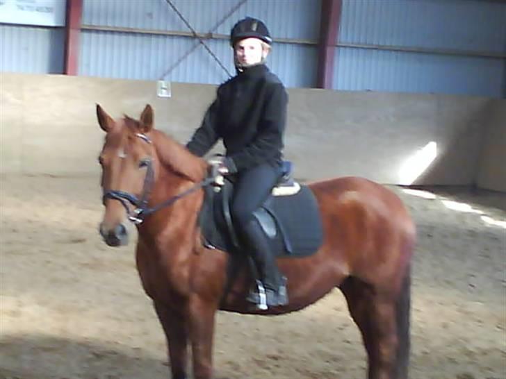 New Forest Vannetie - her er står vi da lige stille ! =) billede 20