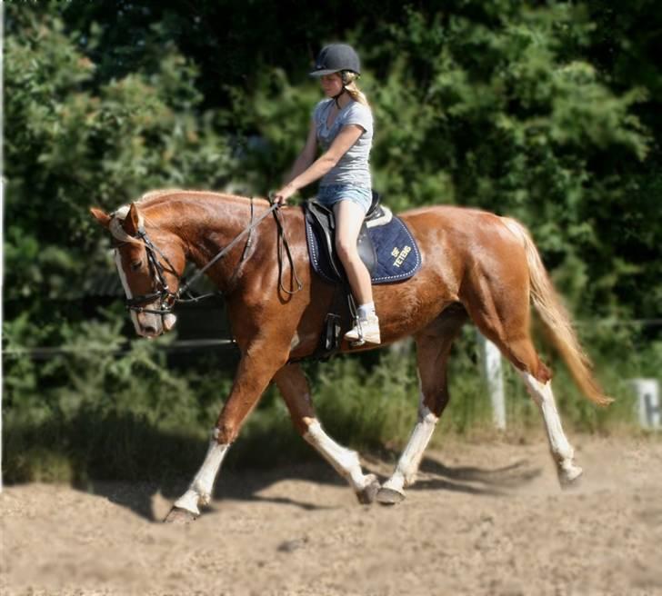 Frederiksborg | Elstedgaards Emilie - Tanja og Mille - traver af - foto; mig :) billede 17