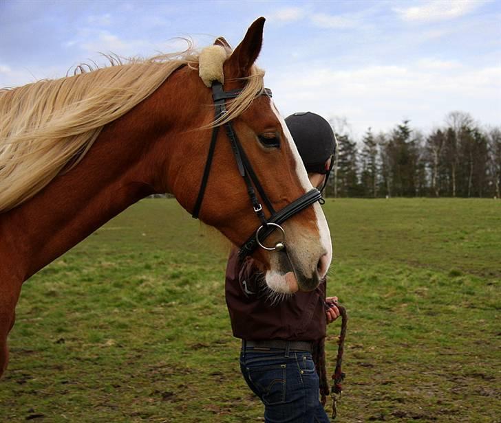 Frederiksborg | Elstedgaards Emilie - Emilie :D taget af Emma Lindtoft <3 billede 18