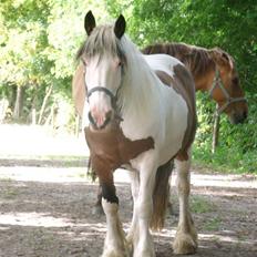 Tinker » Kalinka - DENGANG :'(