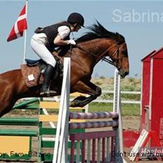 Connemara Killfield *R.I.P*