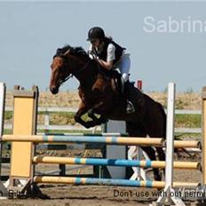 Connemara Killfield *R.I.P*