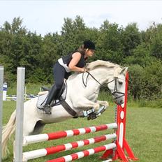 New Forest Firfod Aida <3