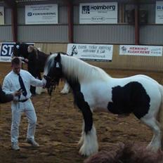 Tinker Hjortholms Boycey