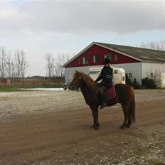 Anden særlig race Laban