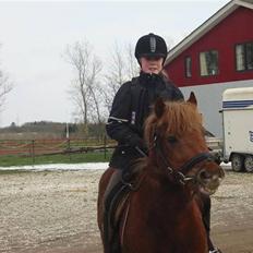 Anden særlig race Laban